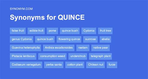 quince pronunciation|quince noun .